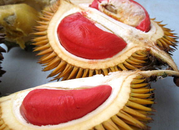 Price udang merah durian SS2 Durian