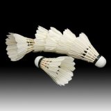 6PCS White Feather Shuttlecocks Badminton