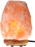 WBM 8-Inch Himalayan Natural Crystal Salt Lamp with Bulb and Cord