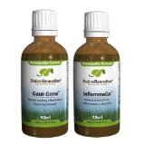 Native Remedies Gout-Gone and InflammaGo ComboPack