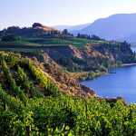 What is Wine Country?