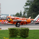 Penampakan Tiger Meet 2010