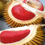 Durian Merah, Yes It Is Red Durians