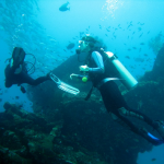 Dive Bali