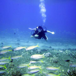 Best Scuba Diving Locations