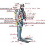 How to Get Started in Scuba Diving