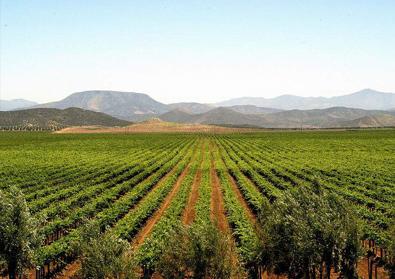 courtesy of grandbaja.com