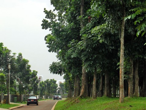 Hanya 300m ke taman bermain dan taman mahogani