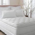 vera wang latex foam mattress